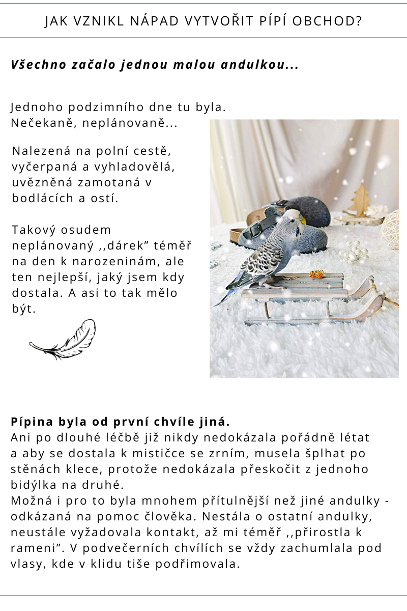 BLOG o Pípí obchodu (4)